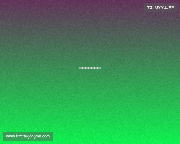 广州找赛事赞助网广州赛事公司